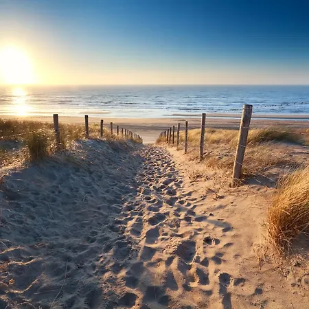 Forest And Ocean * Zandvoort
