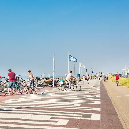 Forest And Ocean Zandvoort